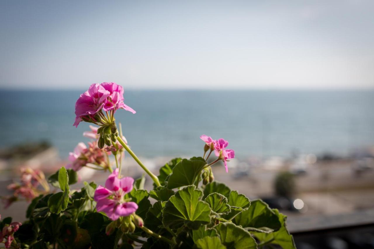 Salsedine Sea View Bed & Breakfast Salerno Ngoại thất bức ảnh